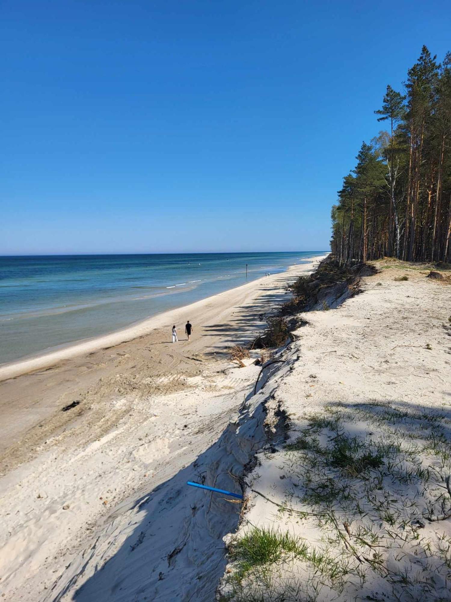Caloroczne Perelka Lubiatowska *